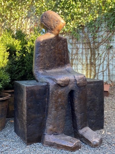 Nya horisonter (stor)